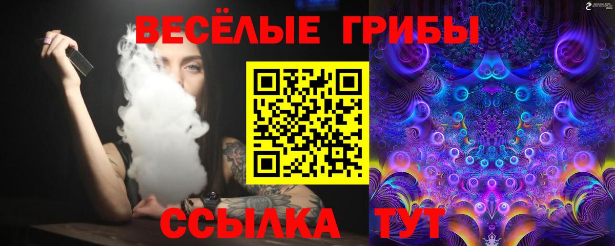 Галлюциногенные грибы Psilocybine cubensis  Вход с VPN  Псилоцибиновые грибы Magic Shrooms  Балашов 